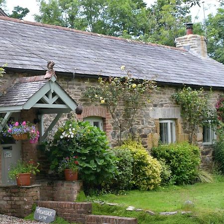 Trewassick Barn Bed & Breakfast Newquay  Ngoại thất bức ảnh